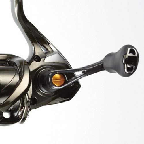 Reel Soare CI4+ C2000SS PG : Amazon.com.be: Sports & Outdoors